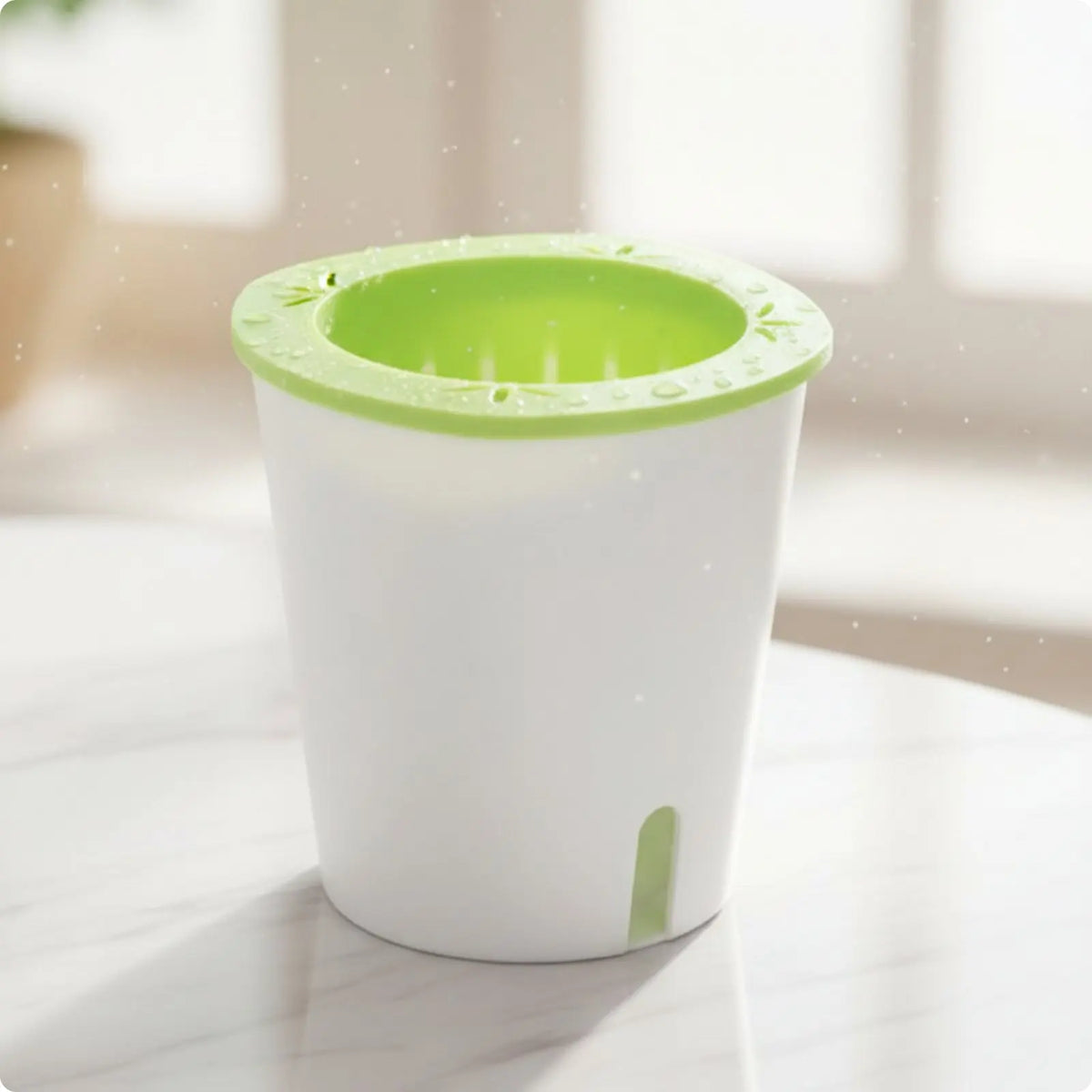 Self Watering Planter