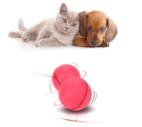 LED Laser Electronic Funny Toy Ball for pets