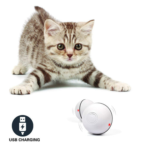 LED Laser Electronic Funny Toy Ball for pets