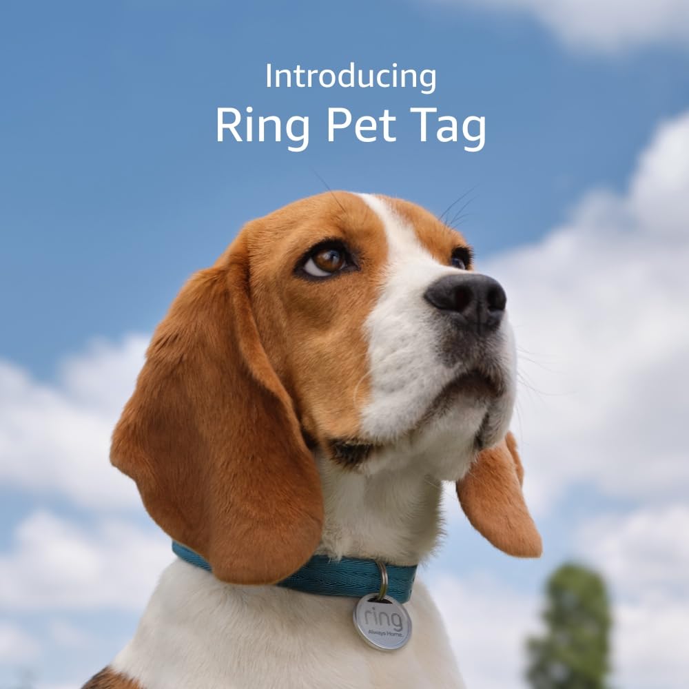 Easy-to-use tag with QR code | Real-time scan alerts | Shareable Pet Profile | No subscription or fees