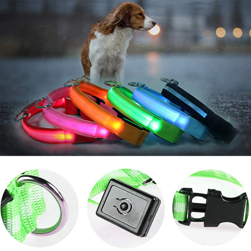 Flashing Collar Light Up Glow Pet Safety