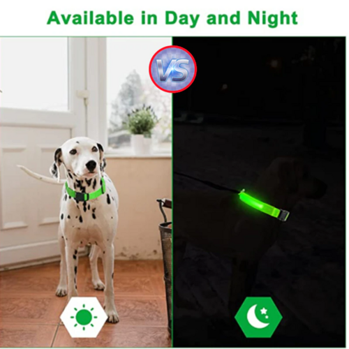 Flashing Collar Light Up Glow Pet Safety