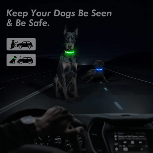 Flashing Collar Light Up Glow Pet Safety