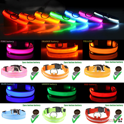 Flashing Collar Light Up Glow Pet Safety
