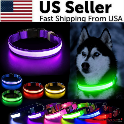 Flashing Collar Light Up Glow Pet Safety