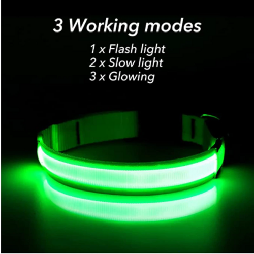 Flashing Collar Light Up Glow Pet Safety