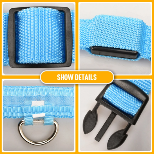 Flashing Collar Light Up Glow Pet Safety