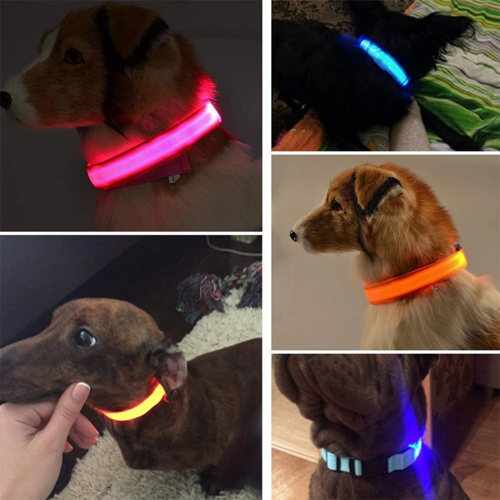 Flashing Collar Light Up Glow Pet Safety