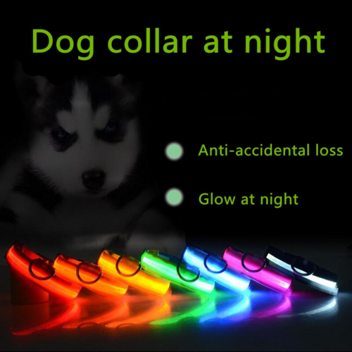 Flashing Collar Light Up Glow Pet Safety