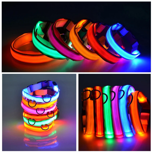 Flashing Collar Light Up Glow Pet Safety