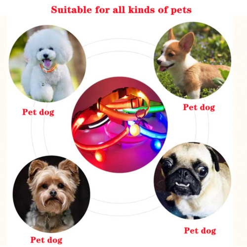 Flashing Collar Light Up Glow Pet Safety