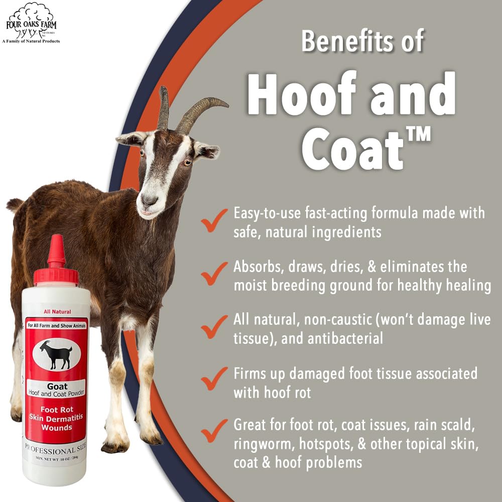 Four Oaks Farm Goat Hoof & Coat Powder - Wound Care, Heals/Prevents Foot Rot, Skin Problems - All Natural, Non-Caustic, Easy to Use (2.5 oz)