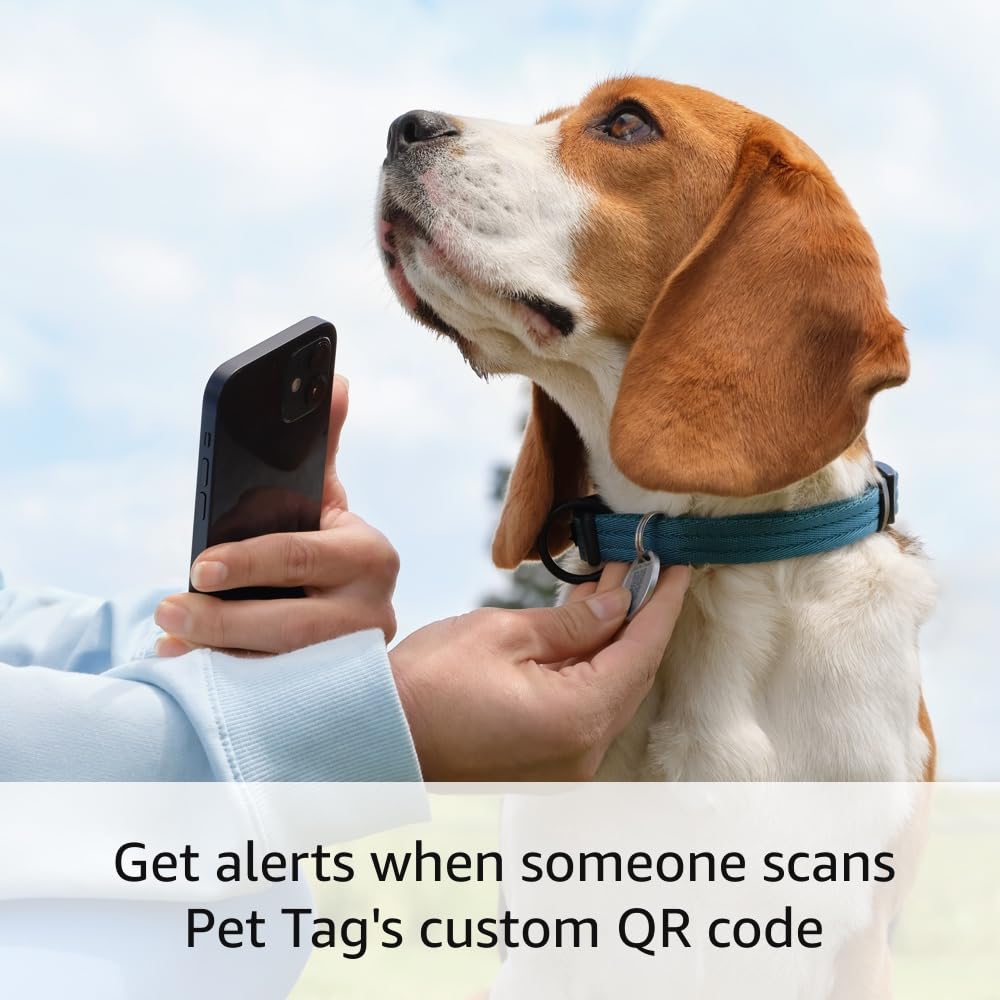 Easy-to-use tag with QR code | Real-time scan alerts | Shareable Pet Profile | No subscription or fees