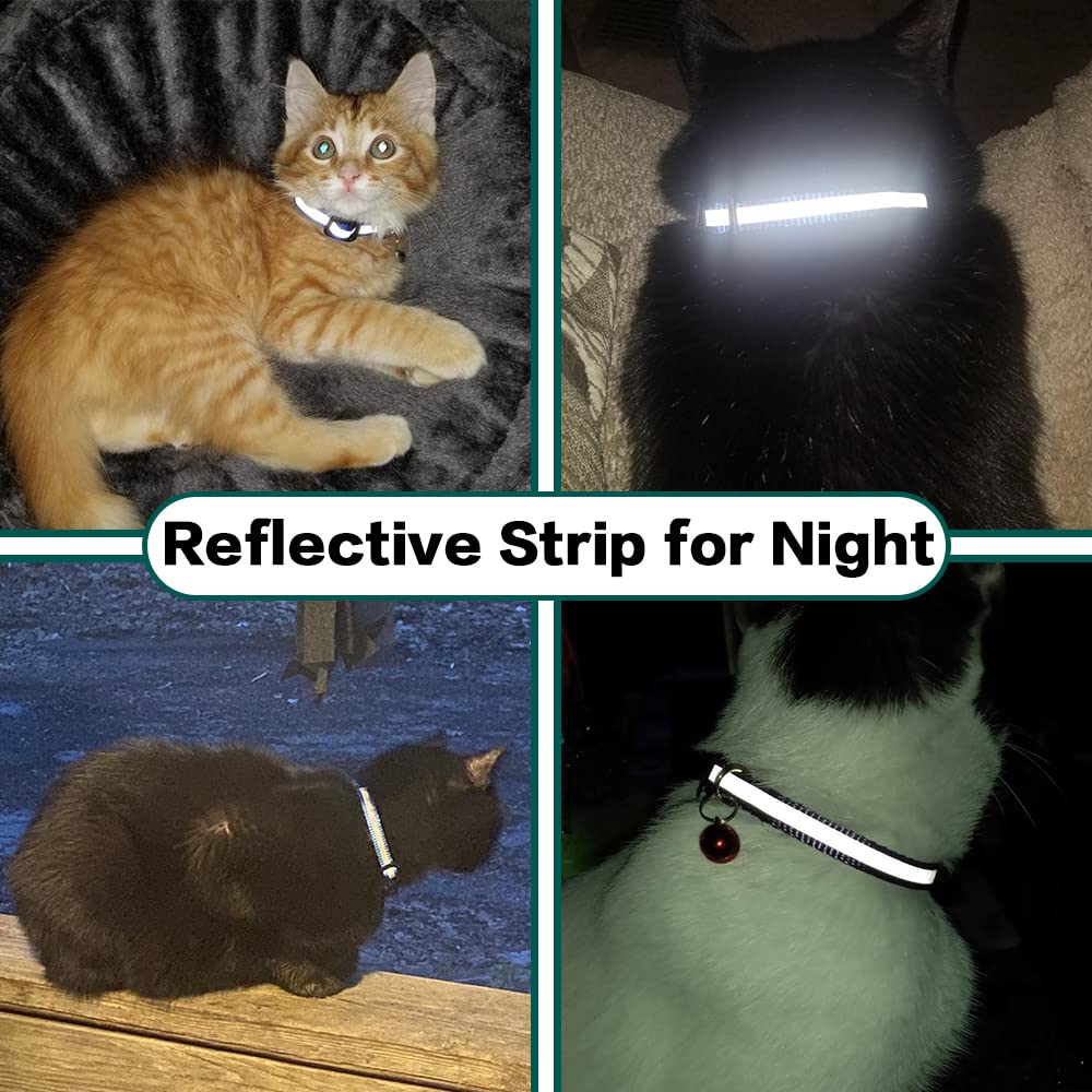 Reflective Breakaway Collar with Air Tag Holder