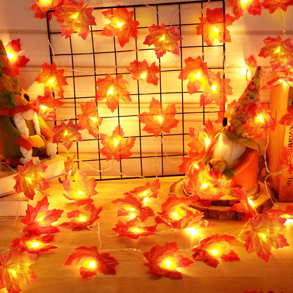 Fall Decor 2 Pack Lighted Fall Garland White, orange VARIETY