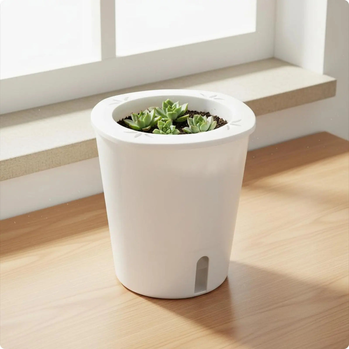 Self Watering Planter